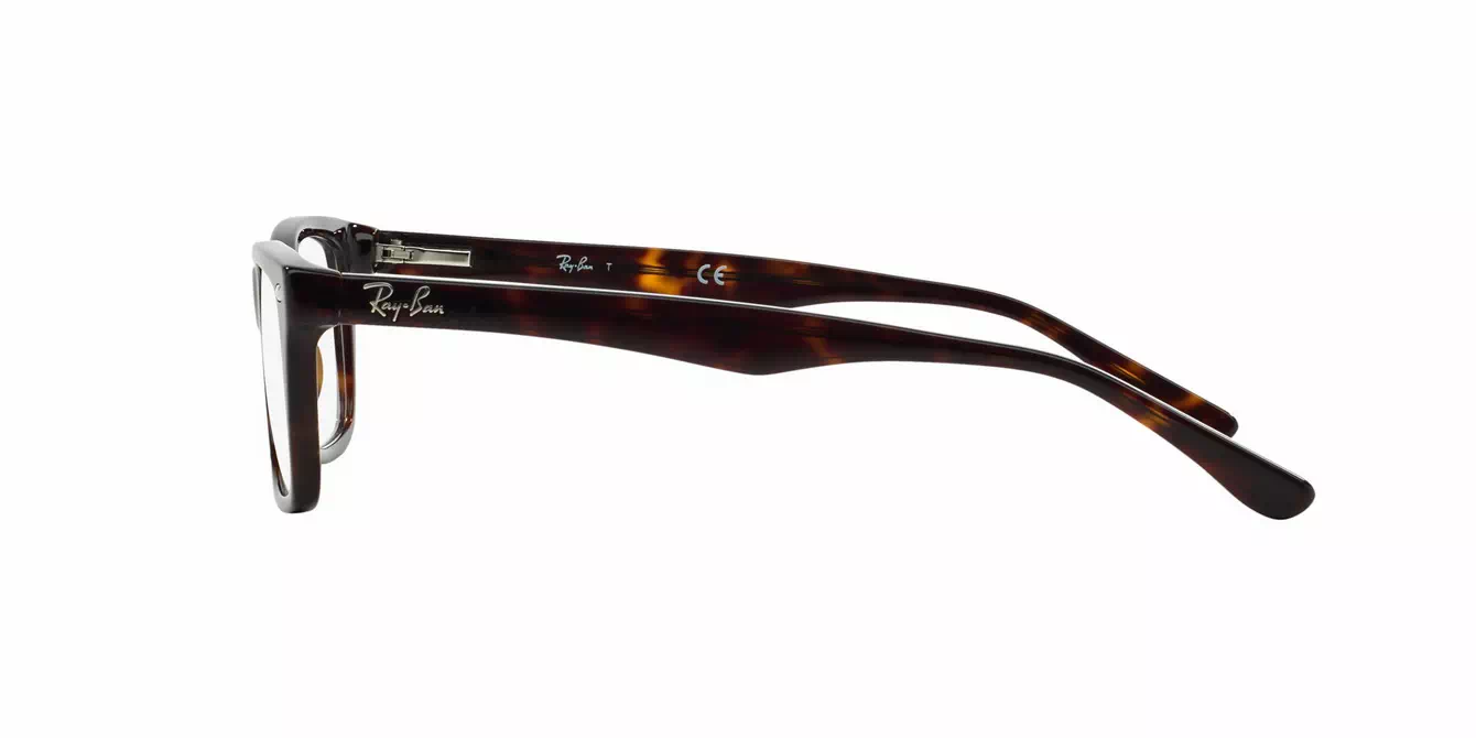 Ray-Ban RB5228 col 2012