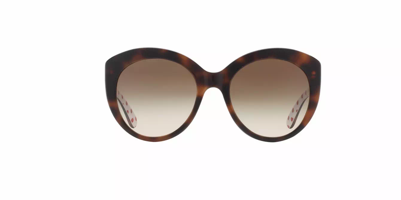 Dolce & Gabbana 4227F col 2872/13