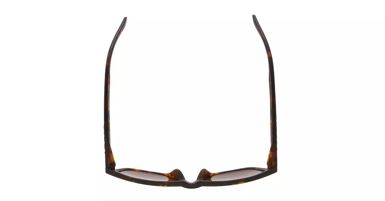 Oakley Fallout Coll (A) Frogskins Matte Brown Tortoise W/ Fire Irid (OO9245-10)