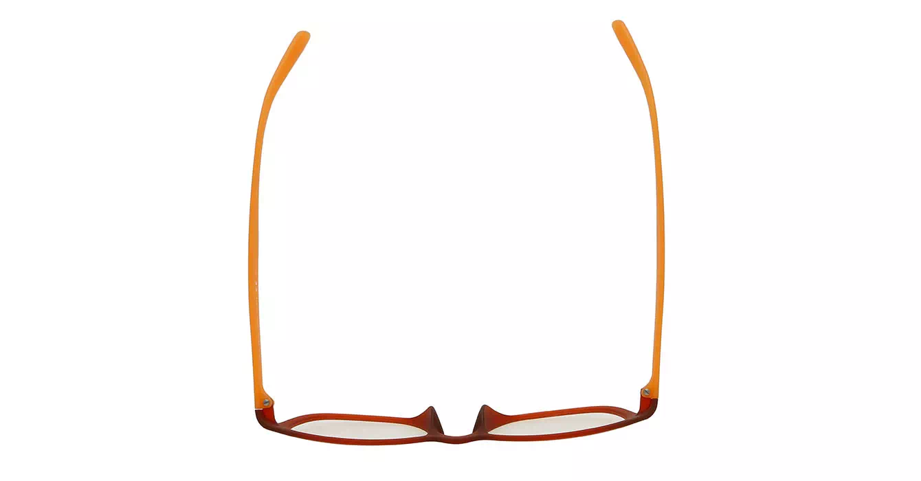 cK Calvin Klein 5830 col 814