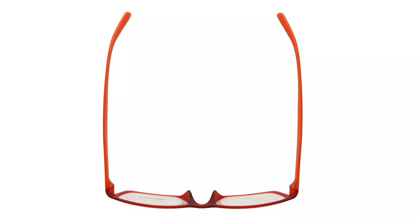 cK Calvin Klein 5831 col 810