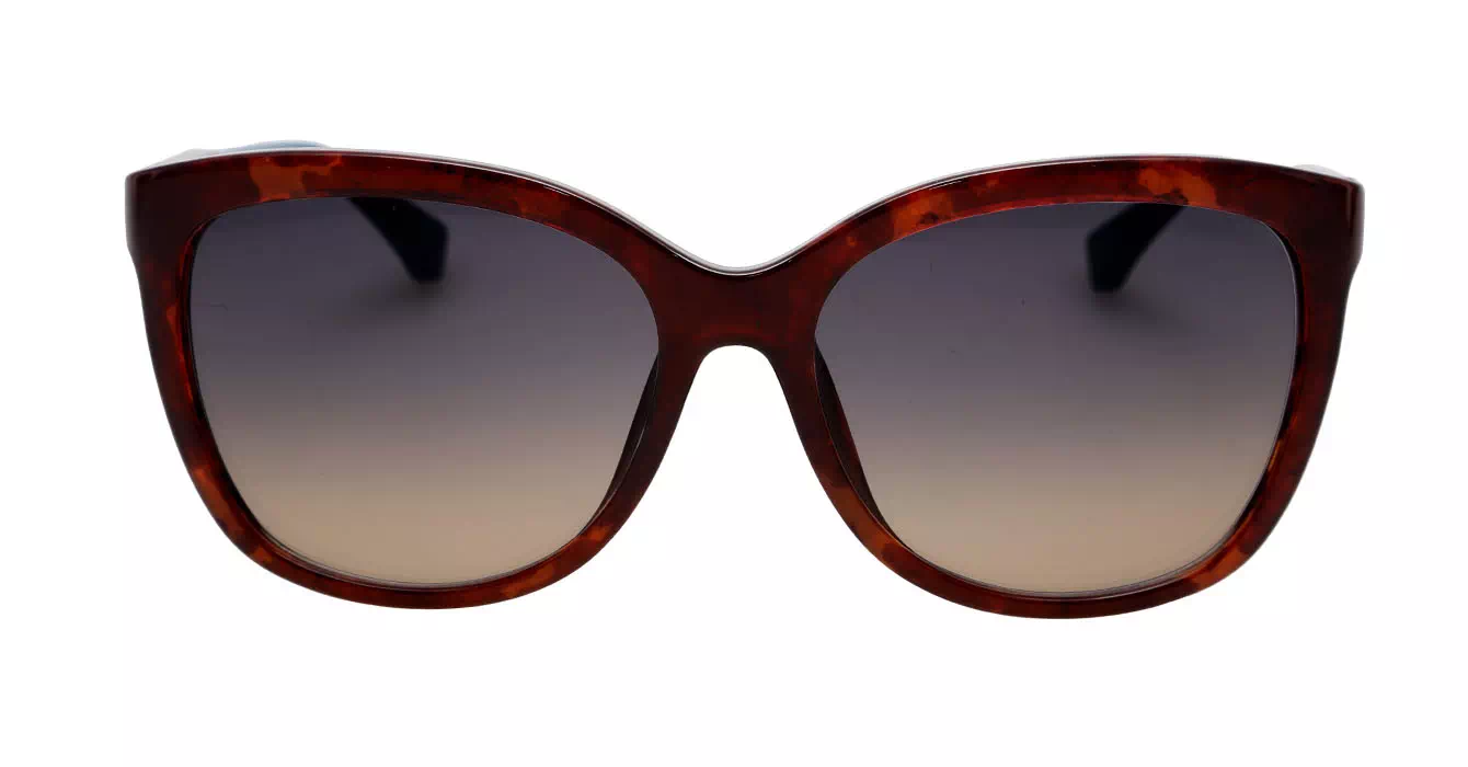 cK Calvin Klein 3172S col 004