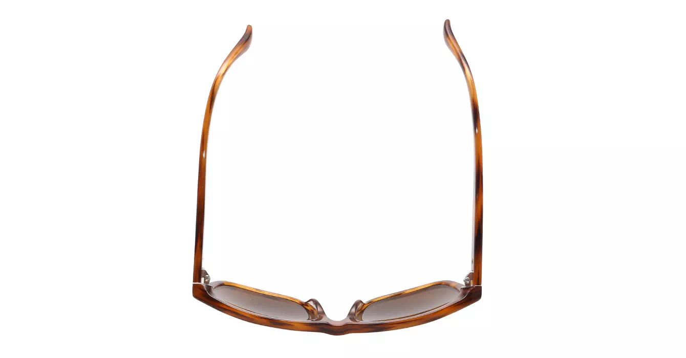 cK Calvin Klein 4255S col 067