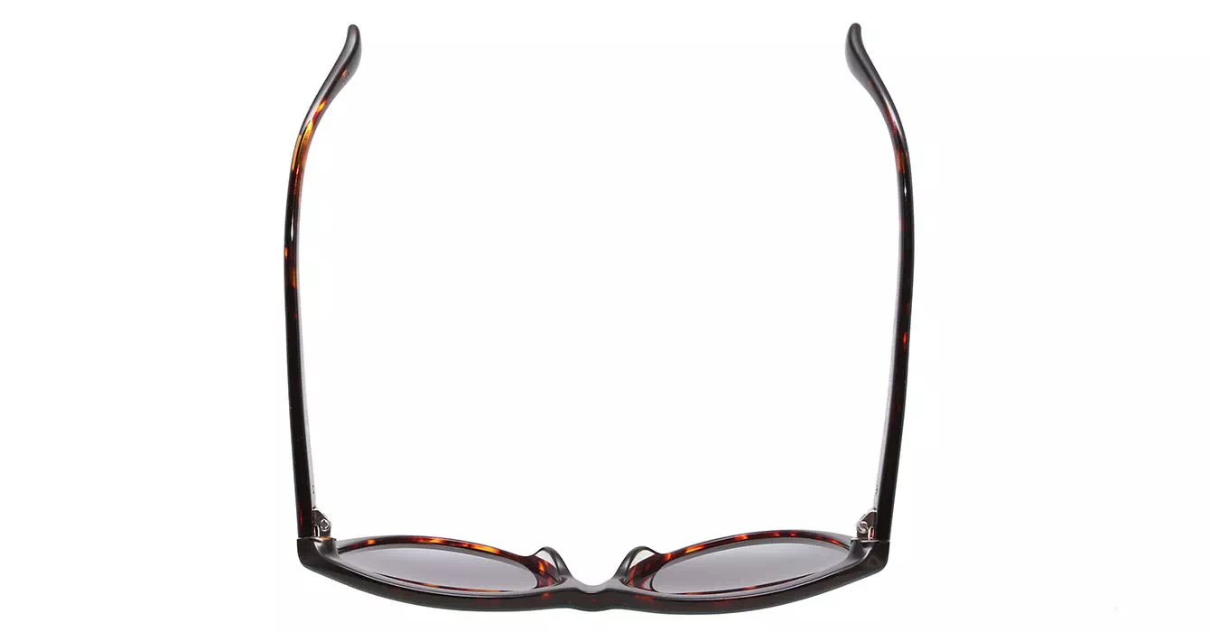 cK Calvin Klein 4256S col 345