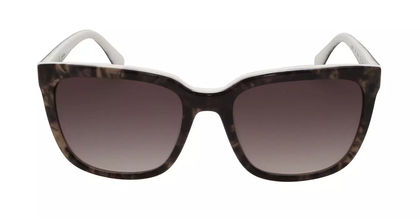cK Calvin Klein 4253S col 260
