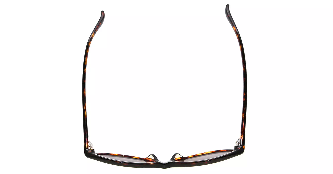cK Calvin Klein 4256S col 320