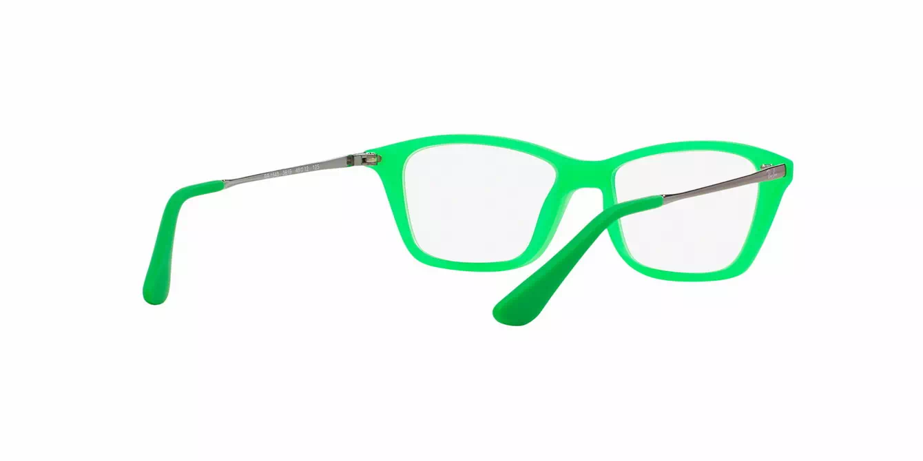 Ray-Ban RB1540 col 3619 s46