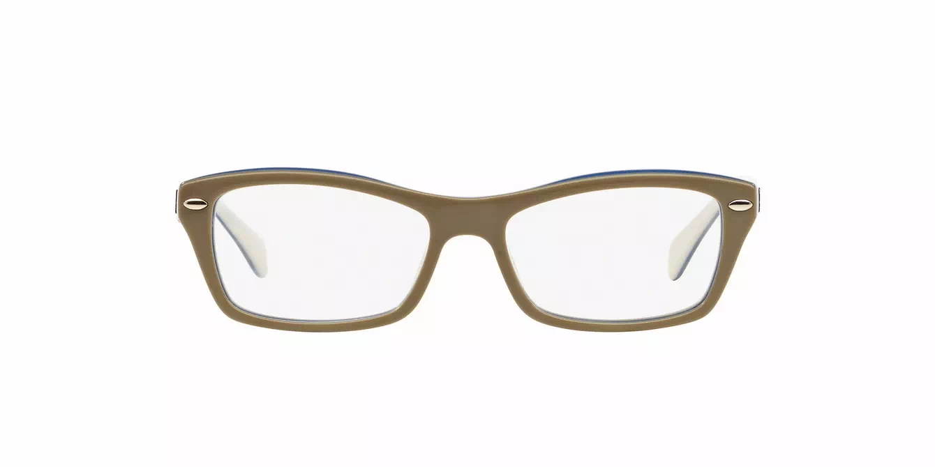 Ray-Ban RB1550 col 3658 s48