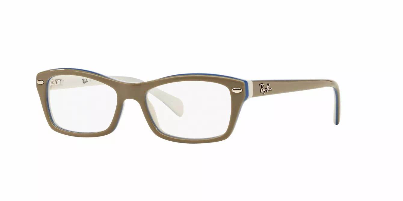Ray-Ban RB1550 col 3658 s48
