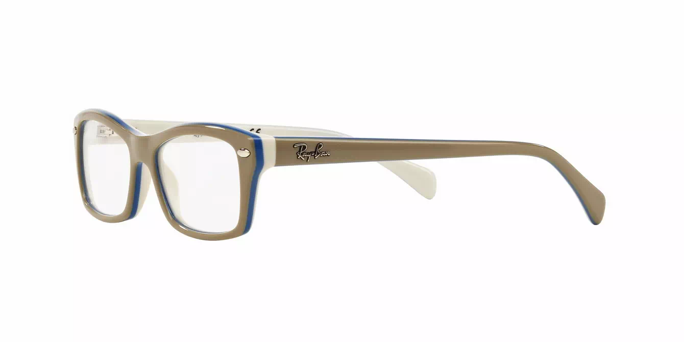 Ray-Ban RB1550 col 3658 s48