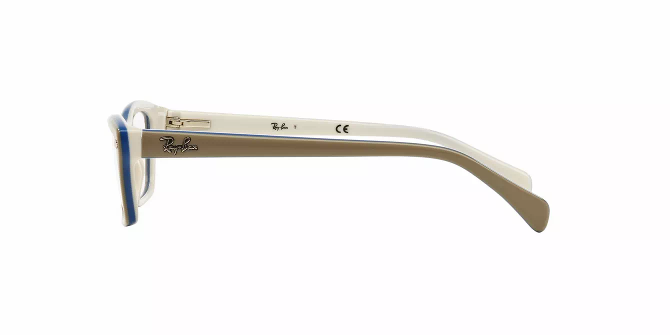 Ray-Ban RB1550 col 3658 s48