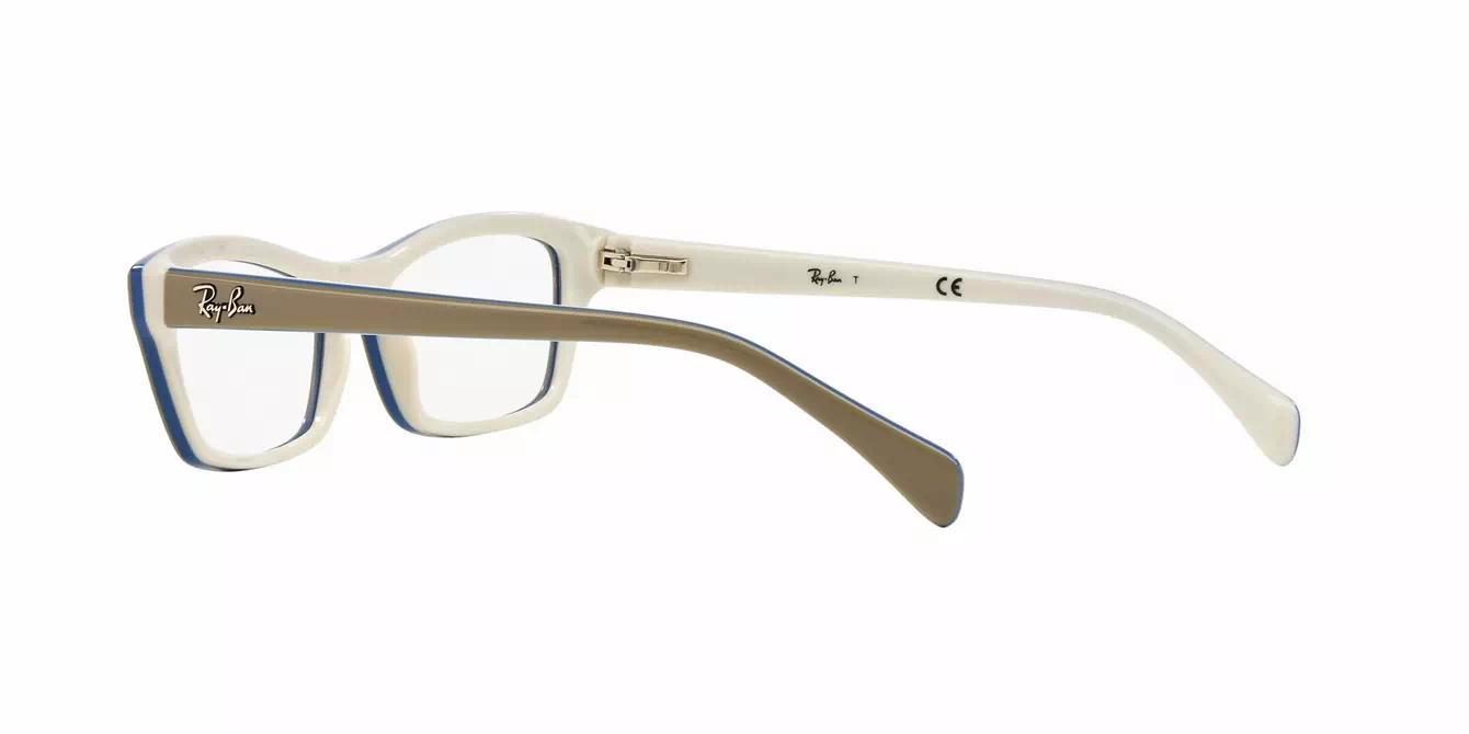 Ray-Ban RB1550 col 3658 s48