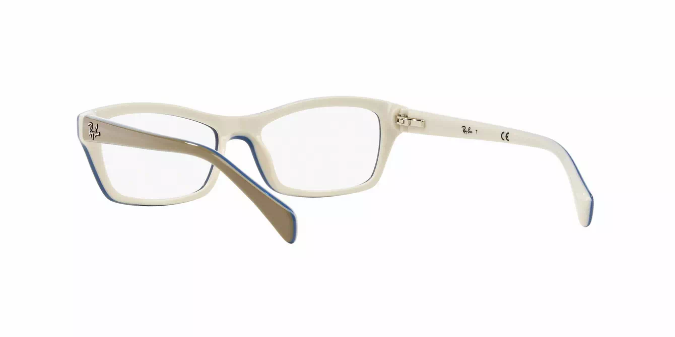 Ray-Ban RB1550 col 3658 s48