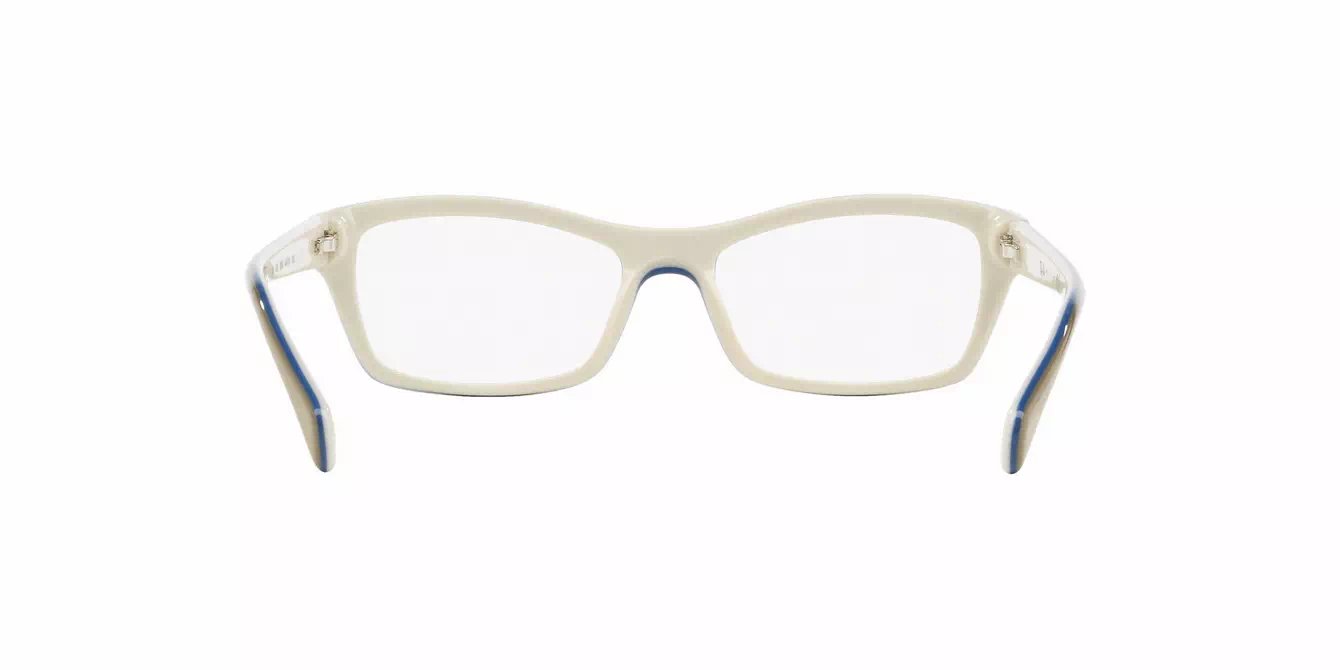 Ray-Ban RB1550 col 3658 s48