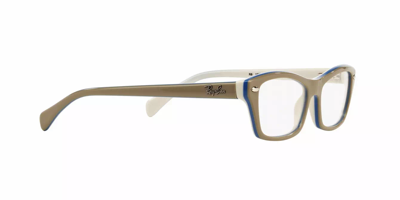 Ray-Ban RB1550 col 3658 s48