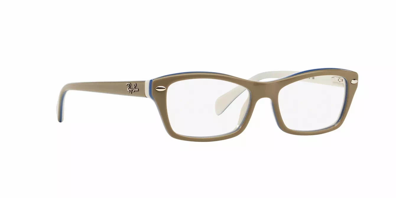 Ray-Ban RB1550 col 3658 s48