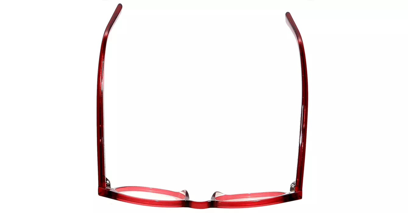 Saint Laurent CLASSIC 10 col 008 s50