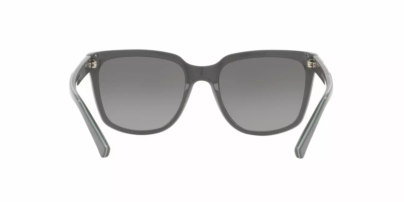 Emporio Armani EA4070F col 5510/11 s55