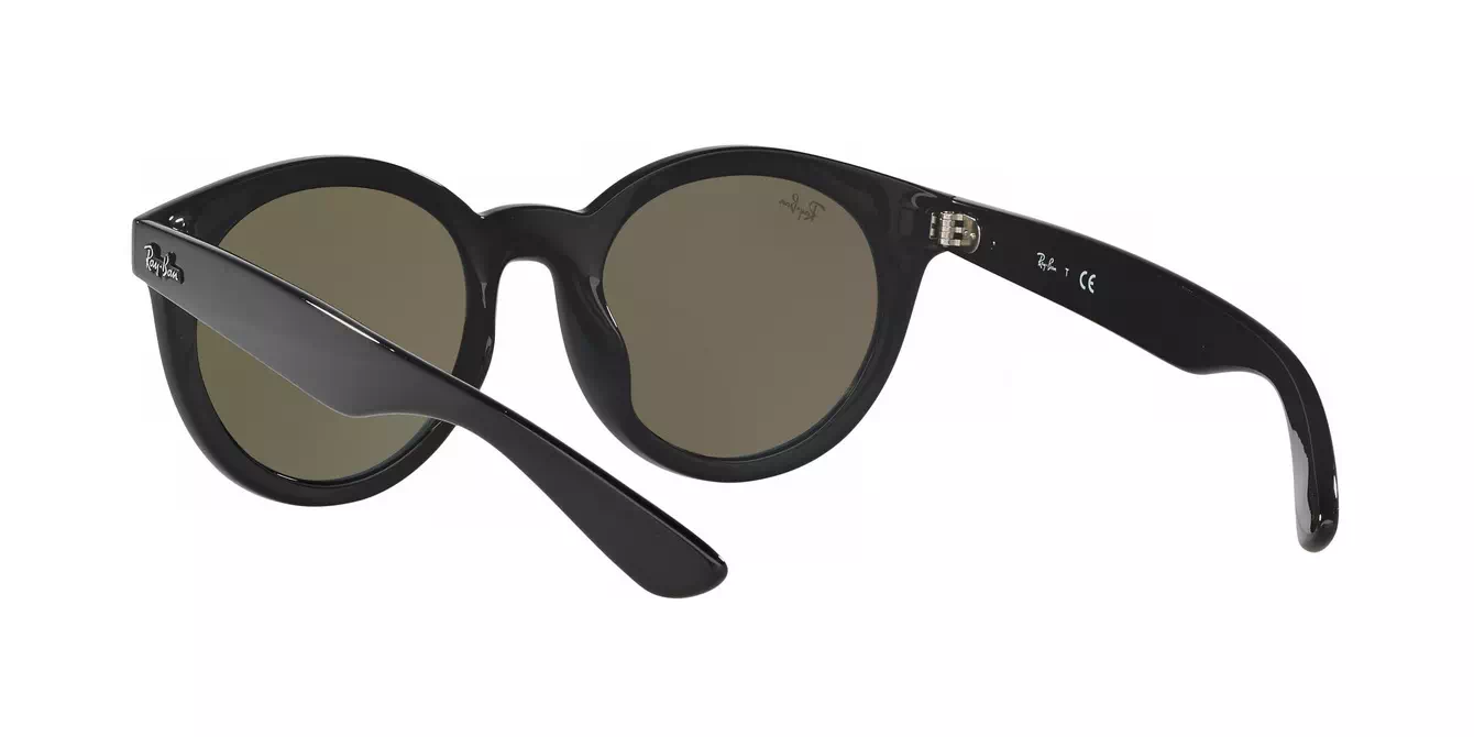 Ray-Ban RB4261D col 601/55 s55