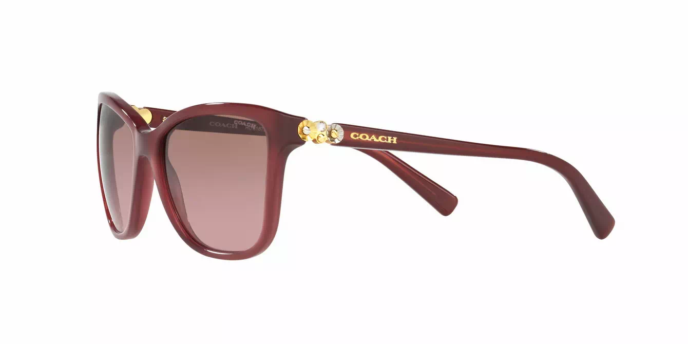 Coach HC8187BF col 5398/14 s54