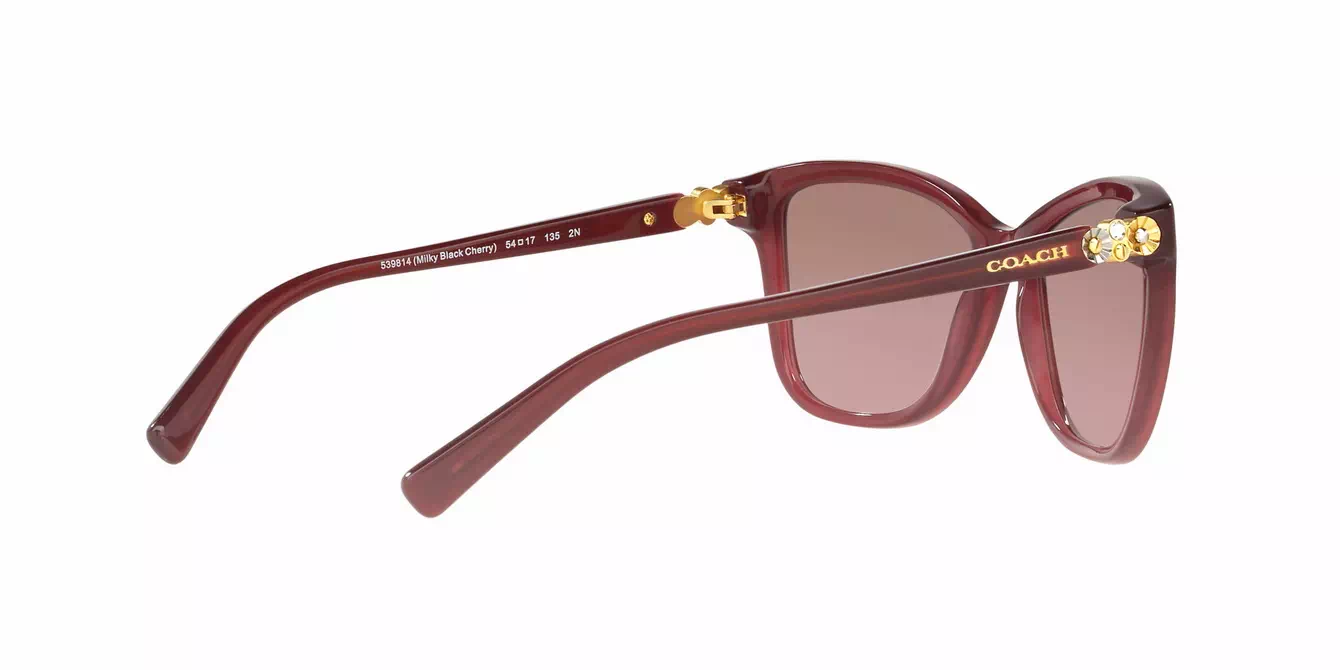 Coach HC8187BF col 5398/14 s54