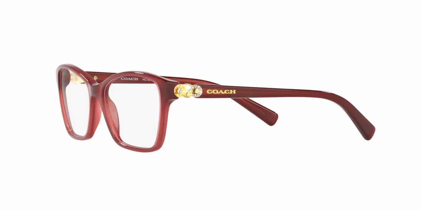 Coach HC6091BF col 5398 s53