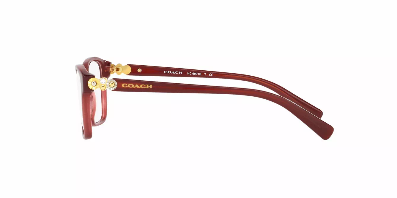 Coach HC6091BF col 5398 s53