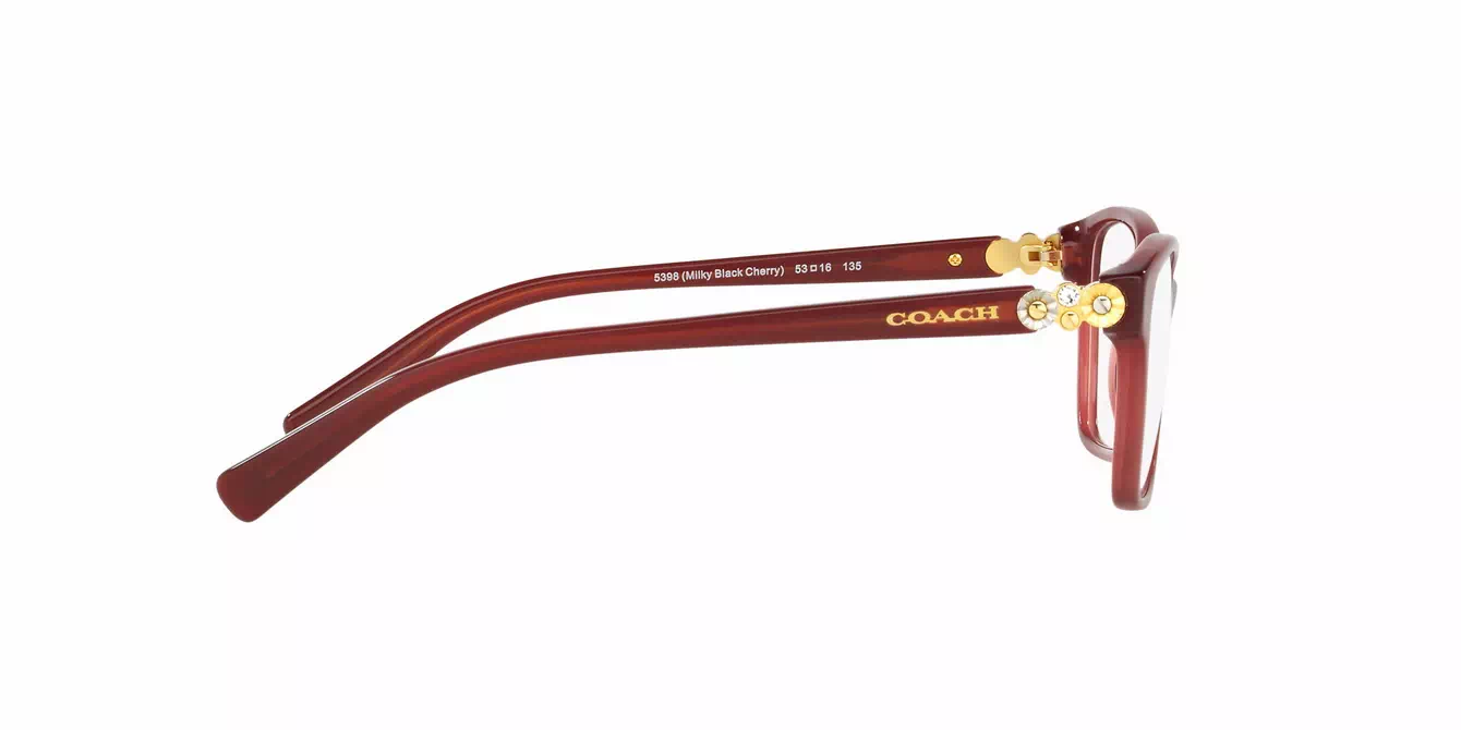 Coach HC6091BF col 5398 s53