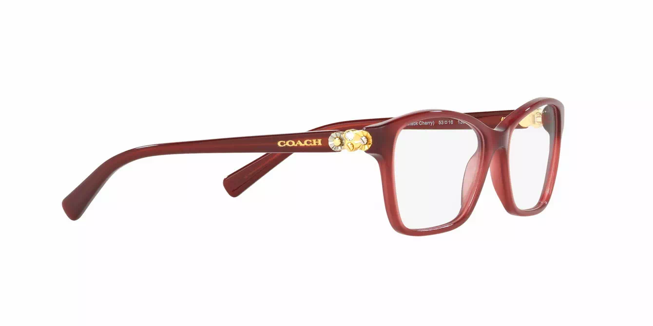Coach HC6091BF col 5398 s53