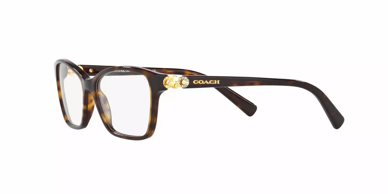 Coach HC6091BF col 5120 s53