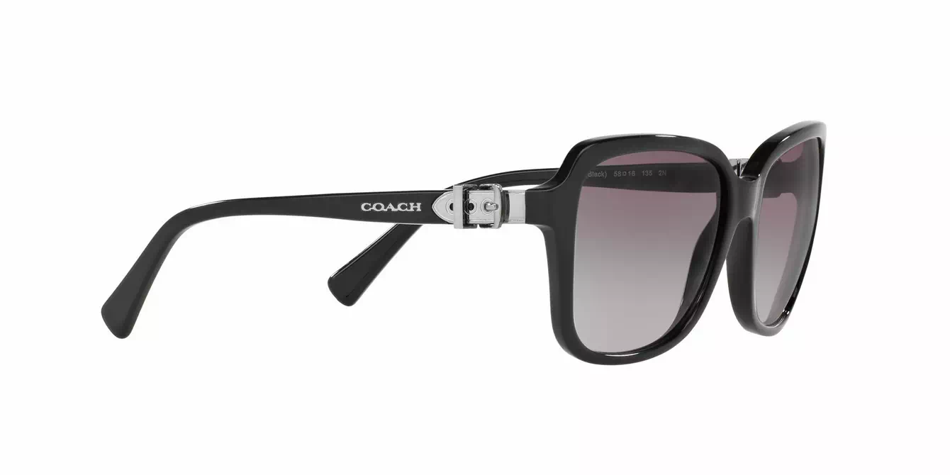 Coach HC8179F col 5002/11 s58