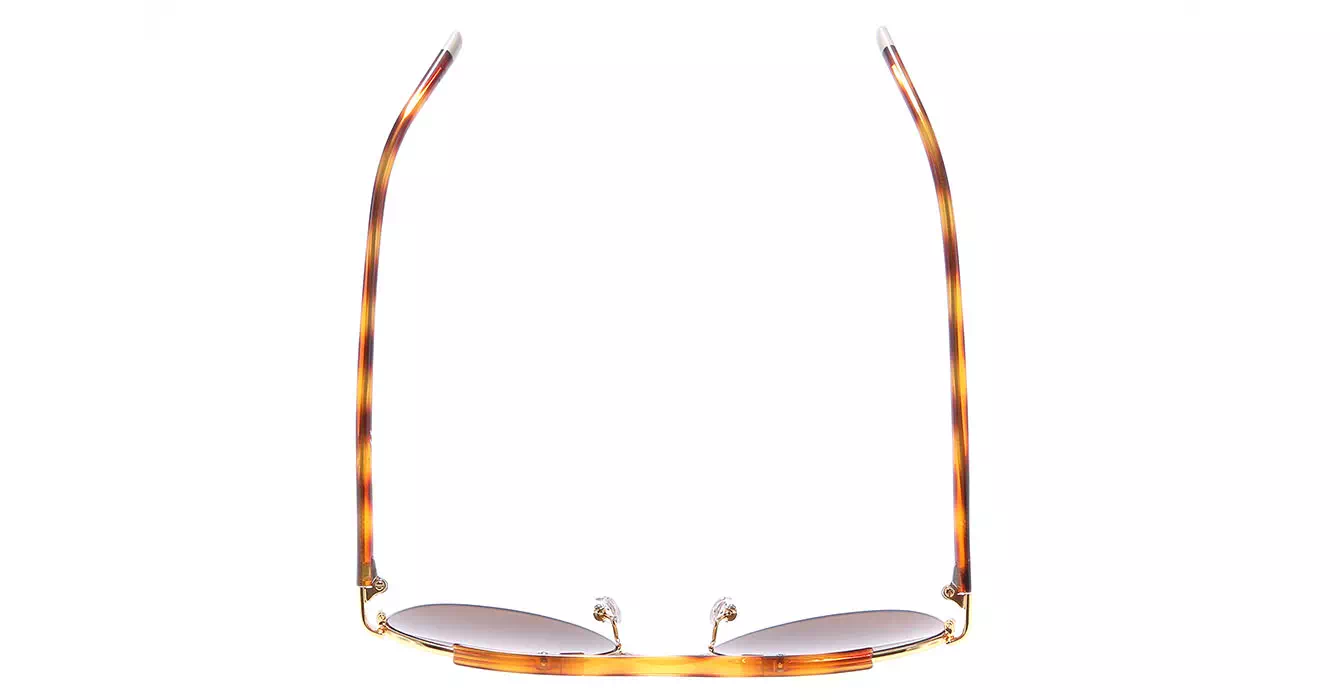 cK Calvin Klein 1220S col 753