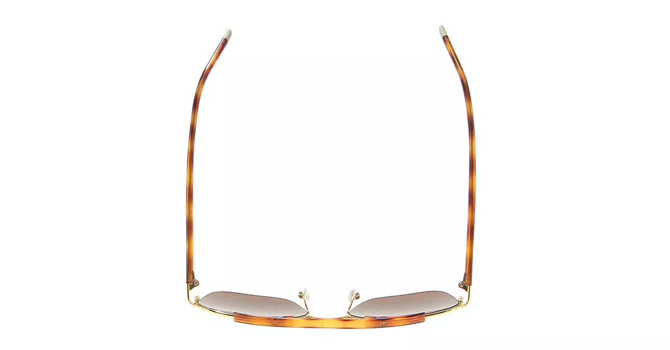 cK Calvin Klein 1221S col 753