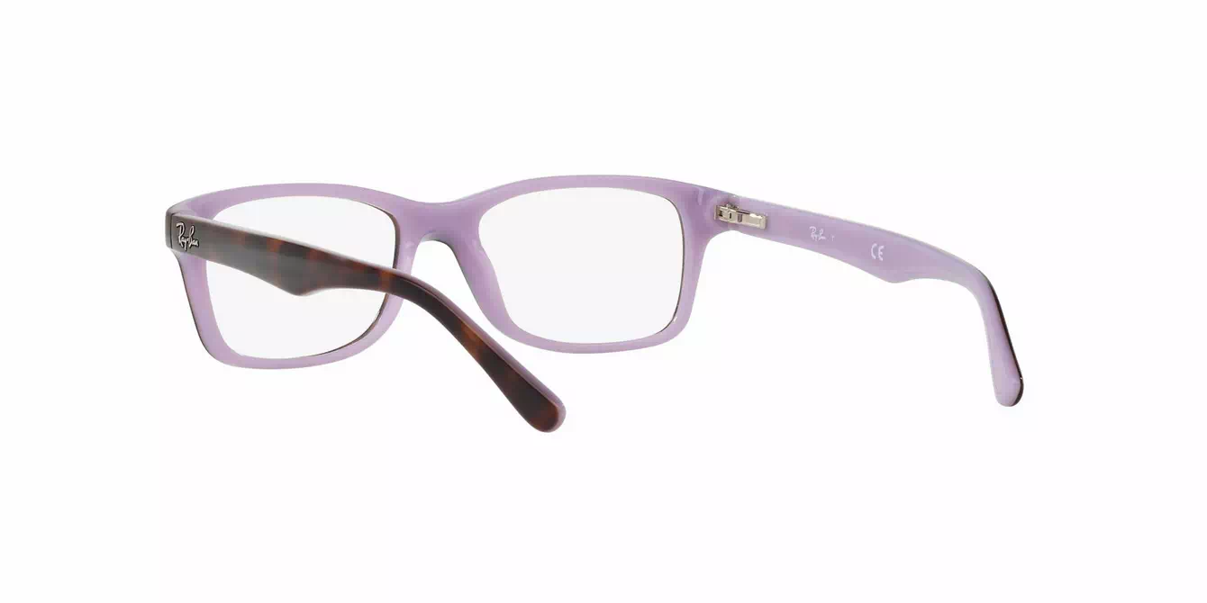 Ray-Ban RB1531 col 3700 s48