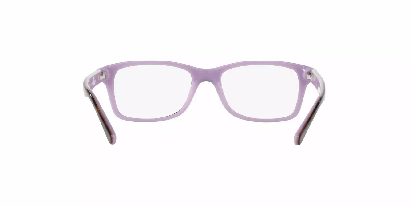 Ray-Ban RB1531 col 3700 s48