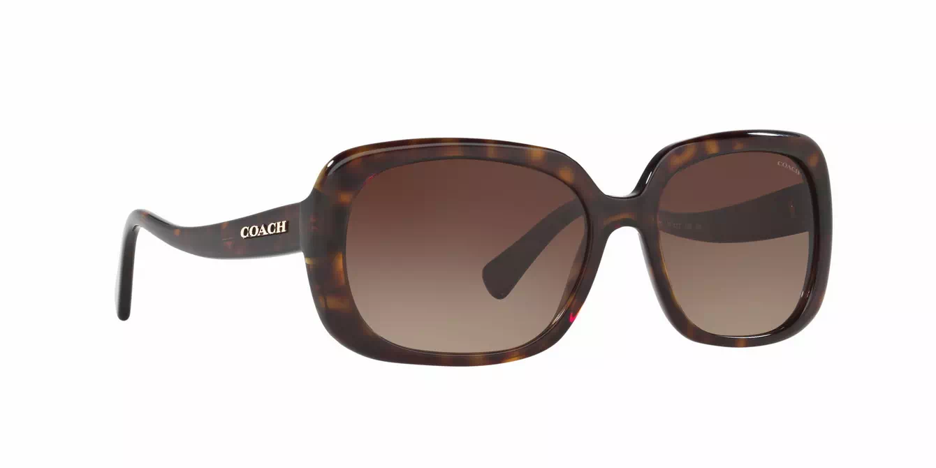 Coach HC8178F col 5120/13 s57