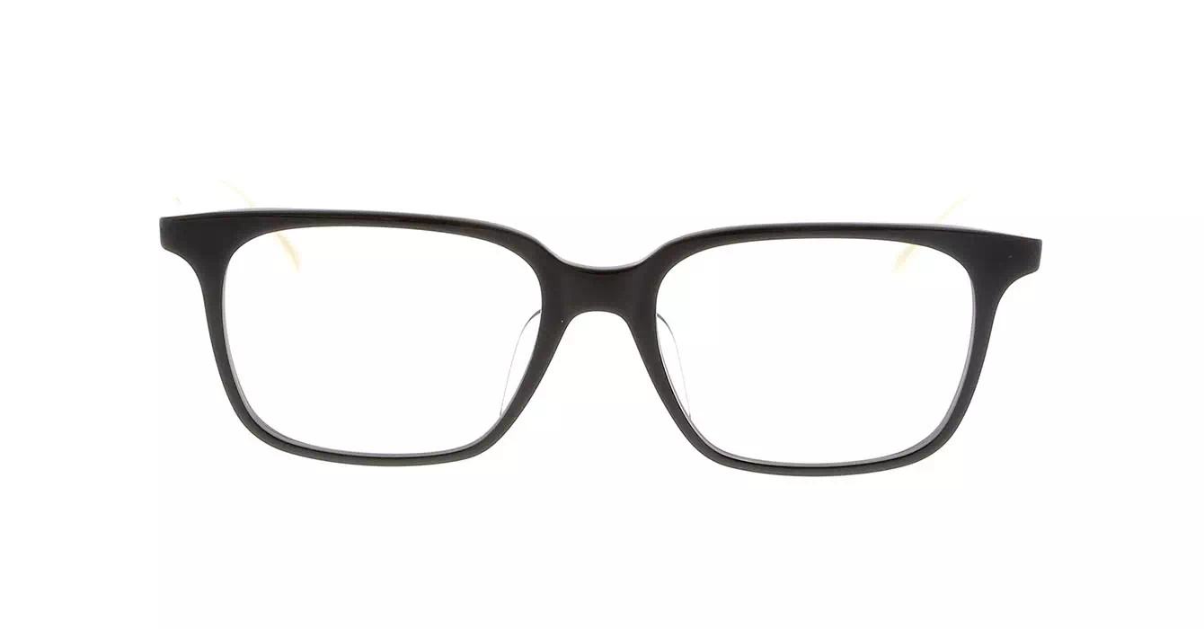 Dita DRX-2074 col A BIRCH