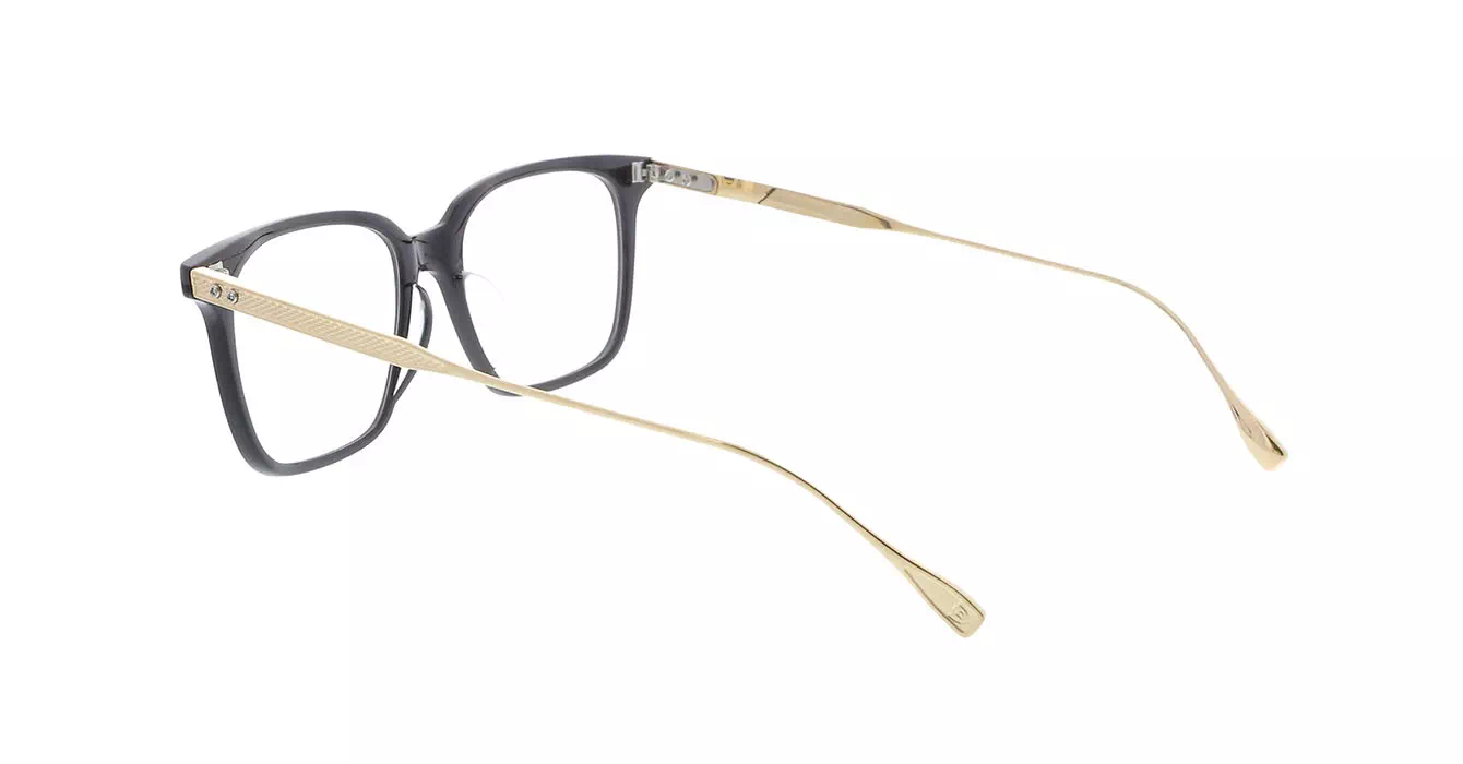 Dita DRX-2074 col A BIRCH