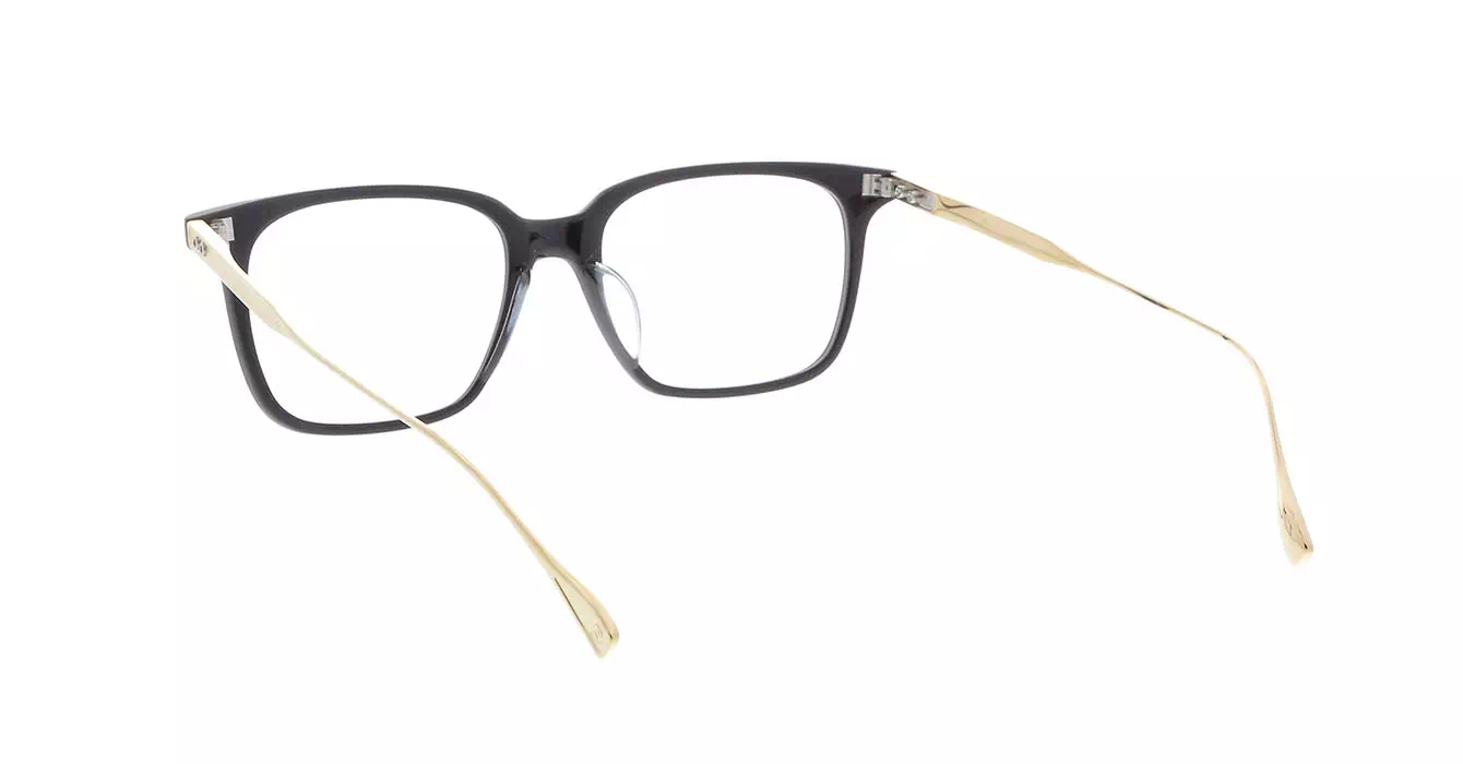 Dita DRX-2074 col A BIRCH