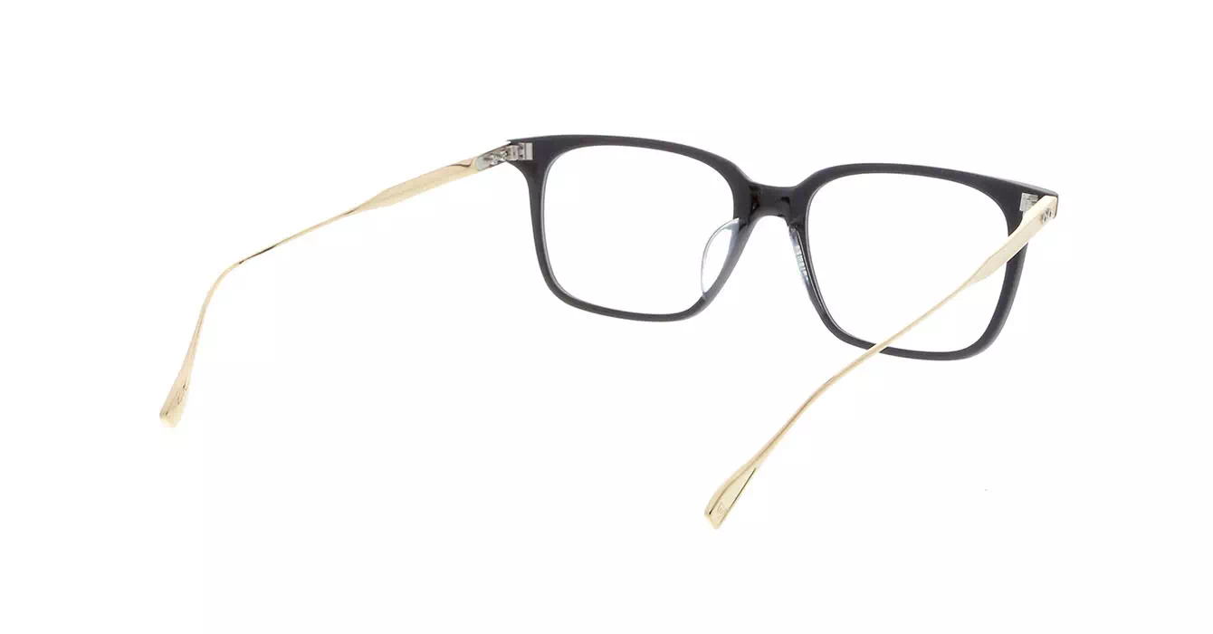 Dita DRX-2074 col A BIRCH