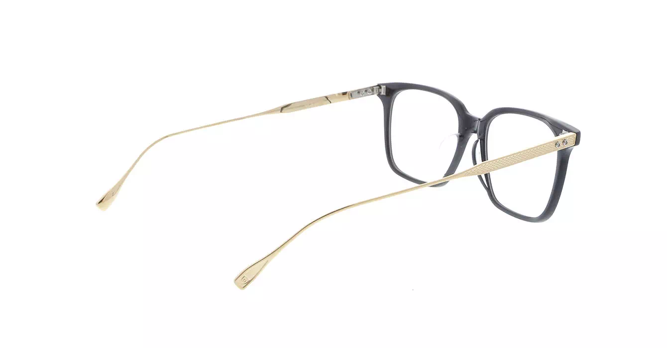 Dita DRX-2074 col A BIRCH