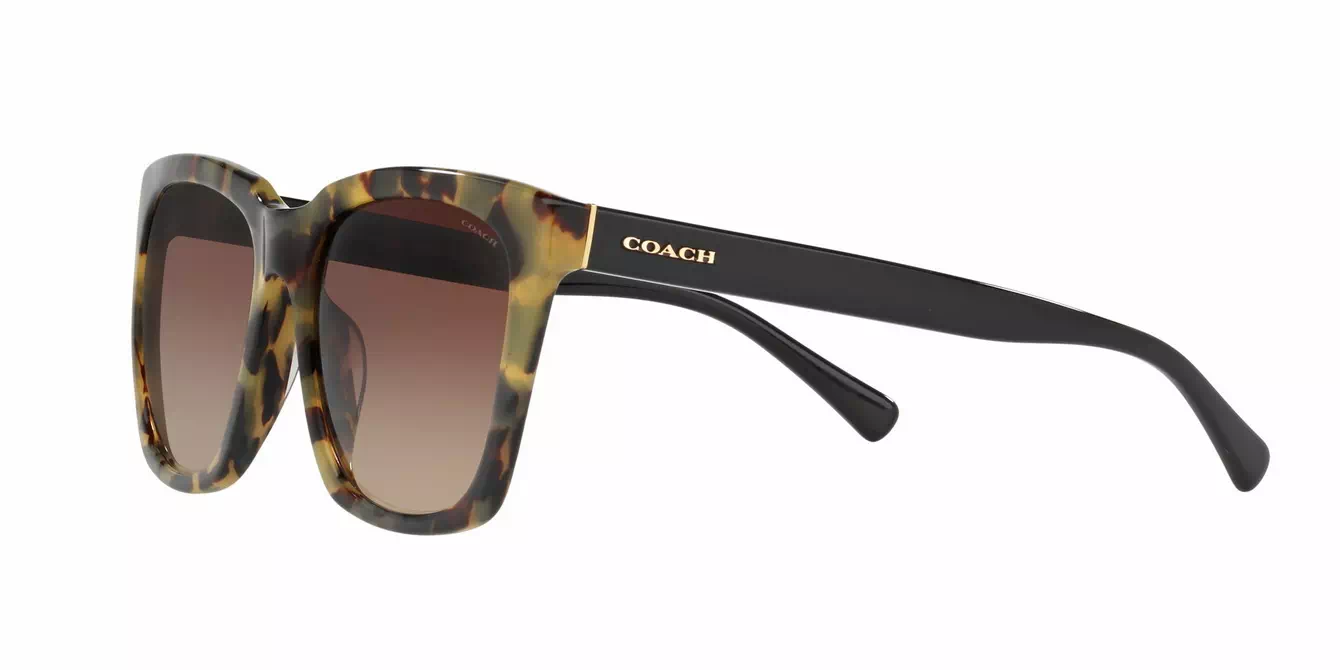 Coach HC8201D col 5093/13 s57