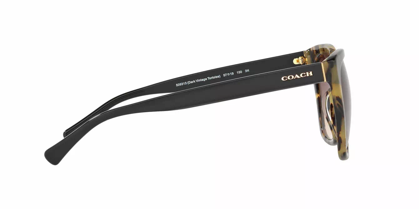 Coach HC8201D col 5093/13 s57