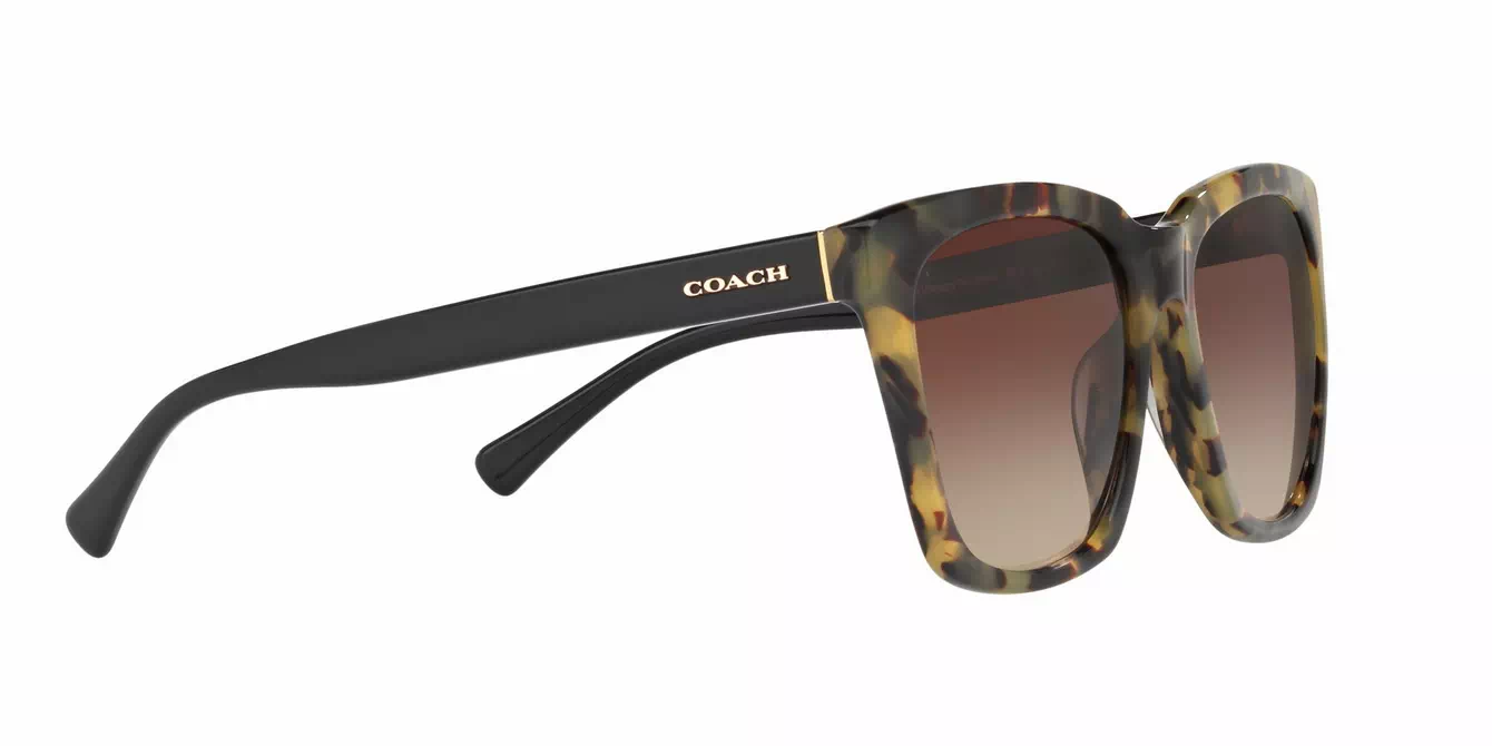 Coach HC8201D col 5093/13 s57