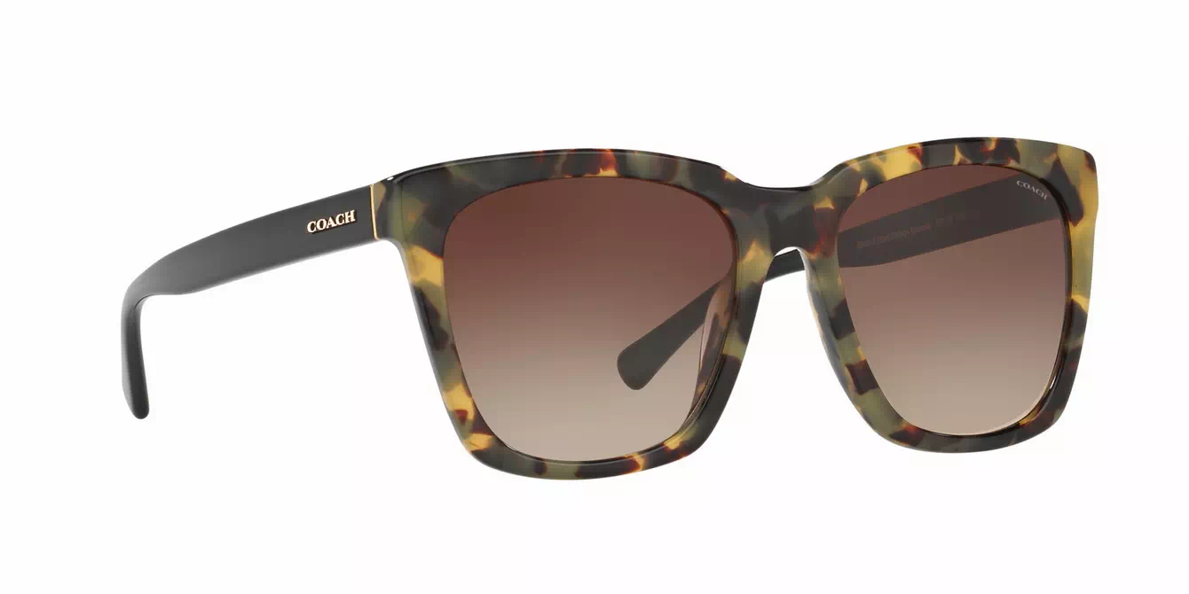 Coach HC8201D col 5093/13 s57