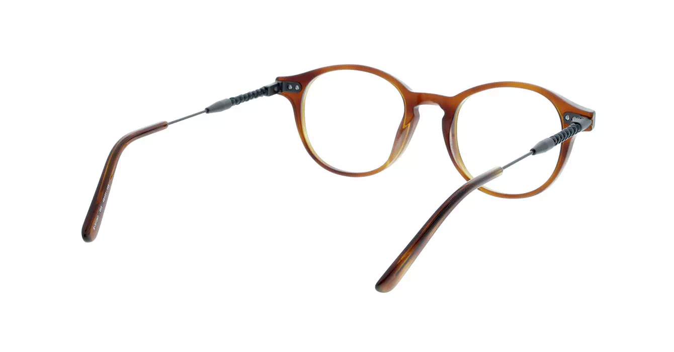 Bottega Veneta BV0109O col 002 s48