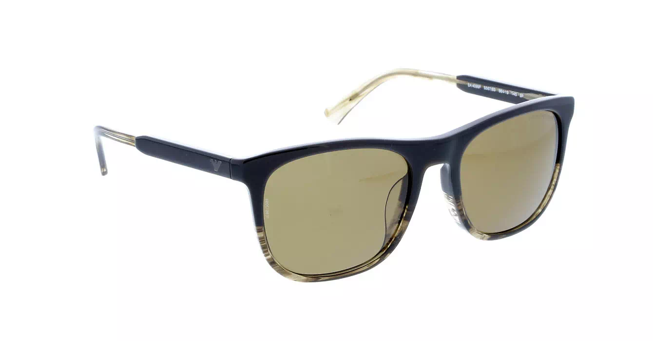 Emporio Armani EA4099F col 5567/83 s56