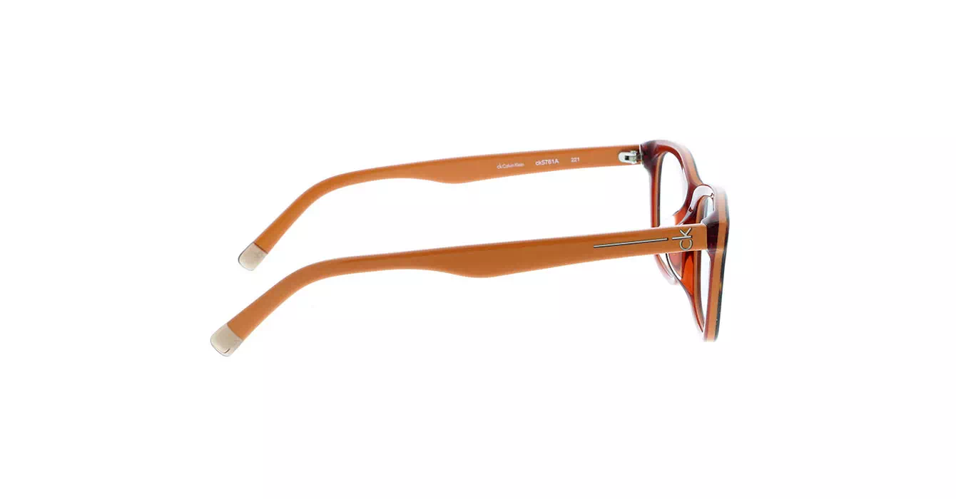 cK Calvin Klein 5761A col 221