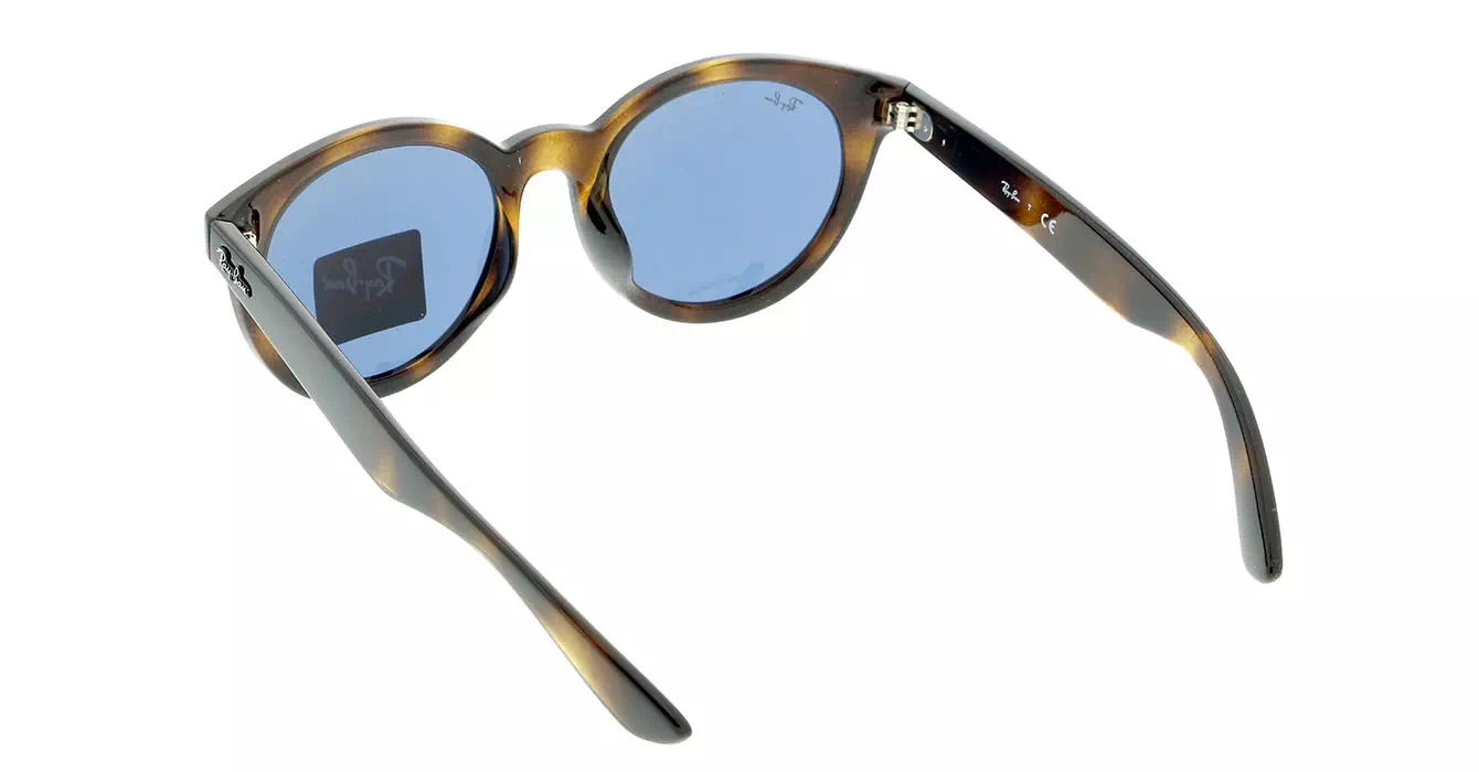 Ray-Ban RB4261D col 710/80 s55