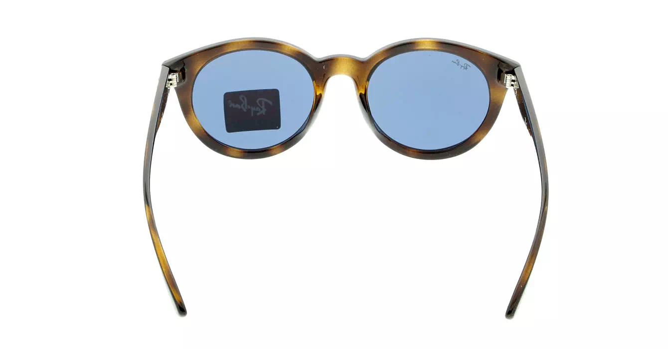 Ray-Ban RB4261D col 710/80 s55